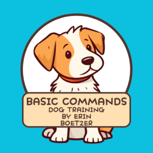 Erin Boetzer Basic Commands Dog Training